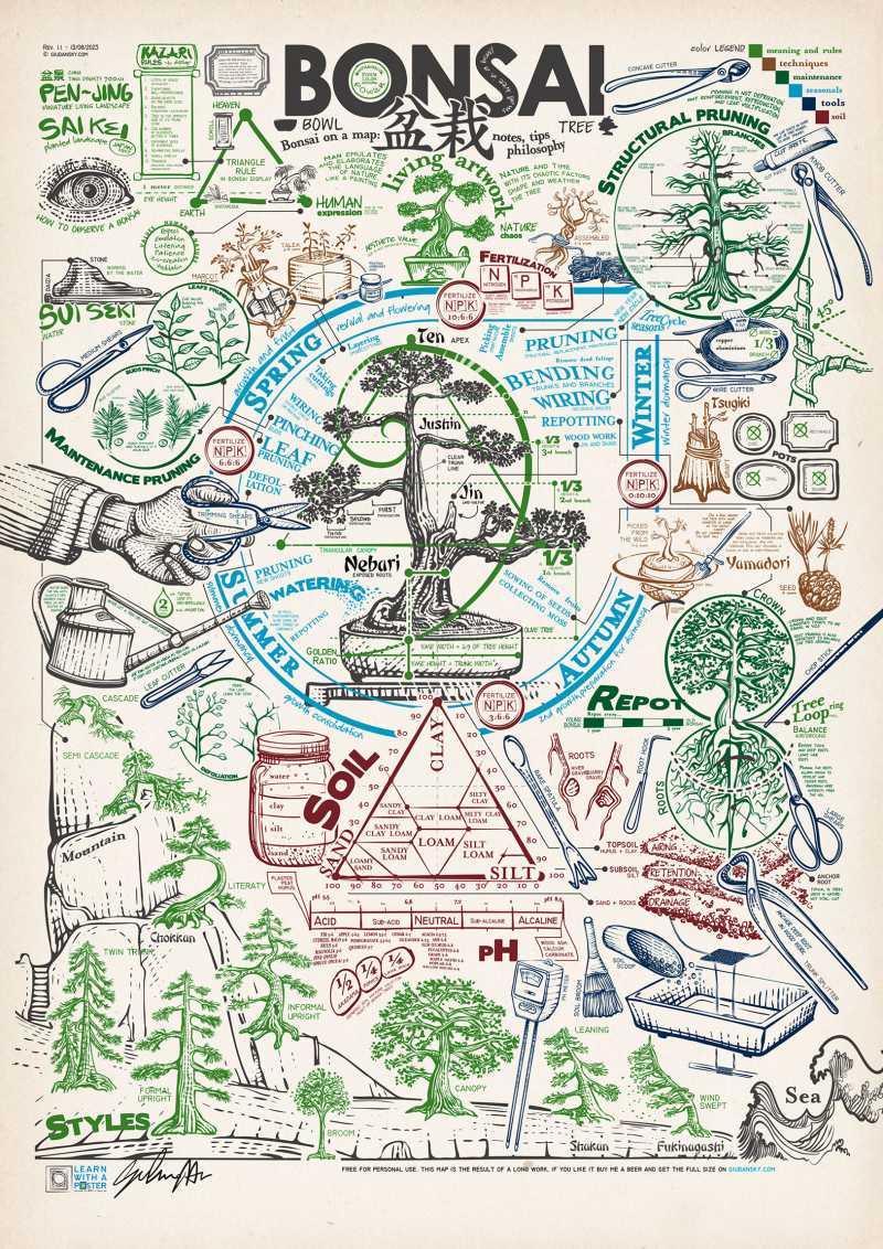 bonsai map infographic